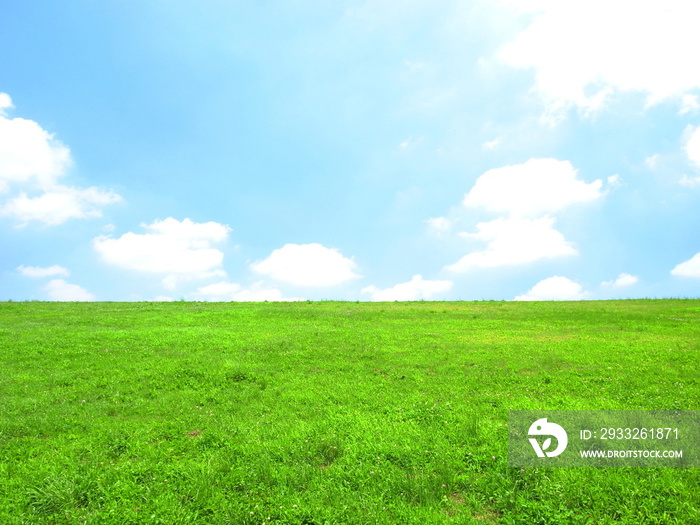 夏の江戸川土手と夏空