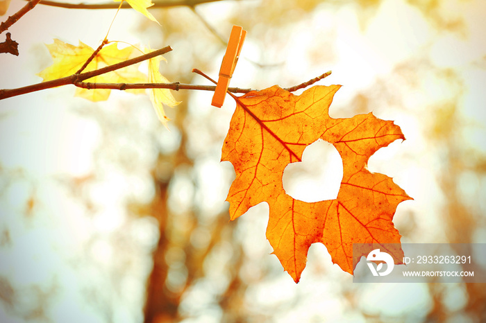 Autumn leaf with heart, outdoors