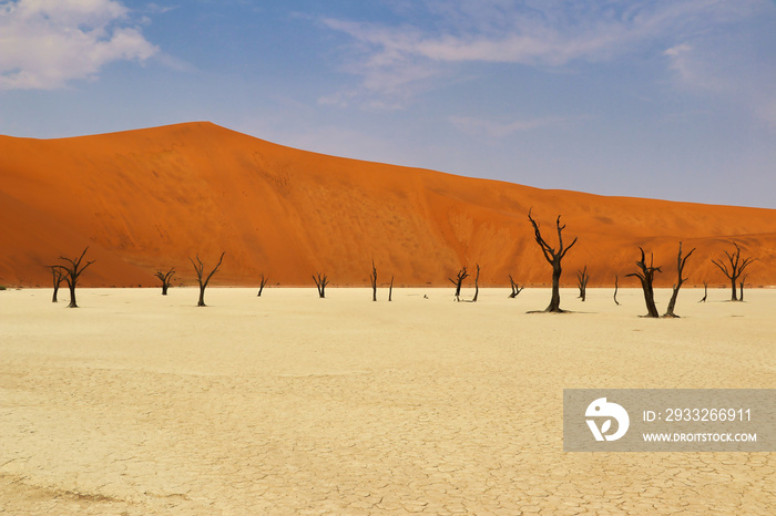 Dead Vlei（Namib Naukluft公园）-纳米比亚-非洲