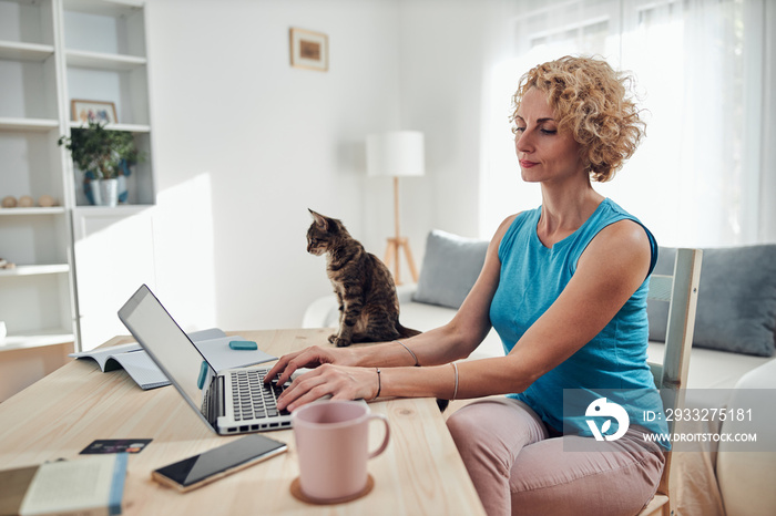 Woman working from home on a laptop / notebook with cat pet with her.