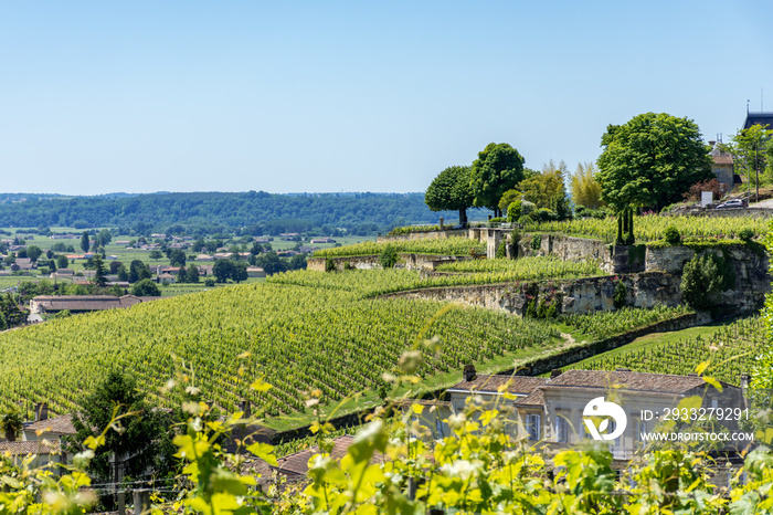 SAINT-EMILION (Gironde, France), vignes autour du village