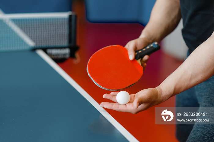 Male person hands with ping pong racket and ball