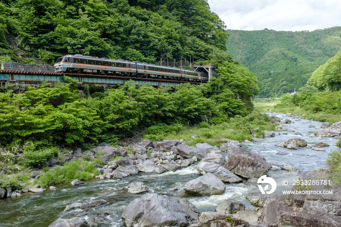 新緑の飛騨川沿いをゆくローカル列車