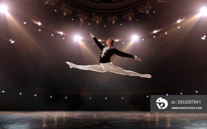 Ballet. Classical ballet performed by a couple of ballet dancers on the stage of the opera house.