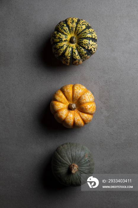 A variety of different autumnal pumpkins and gourds on a dark concrete background