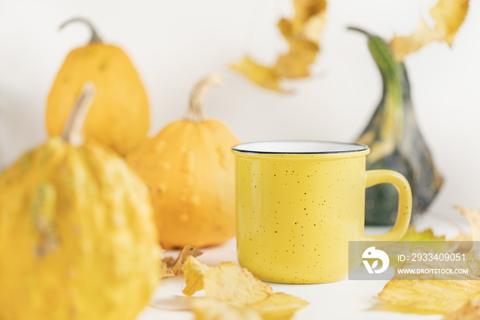 Small pumpkins, leaves and mug on white. Fall and season hot beverages