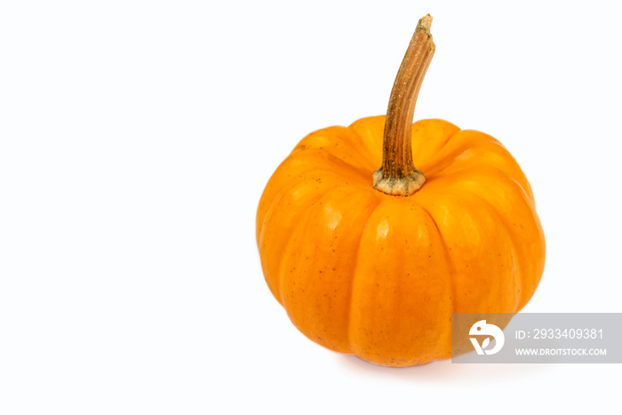 Ripe mini pumpkin isolated on white background