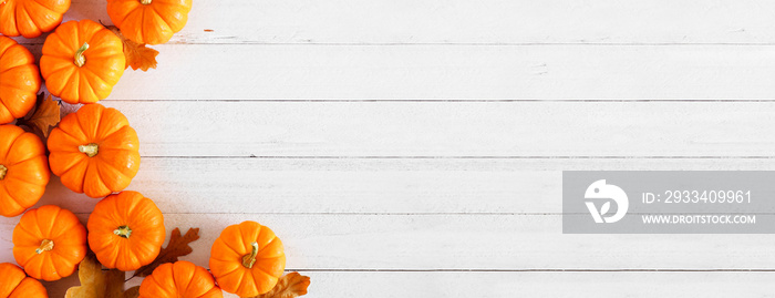 Autumn pumpkin and leaf side border banner over a rustic white wood background with copy space