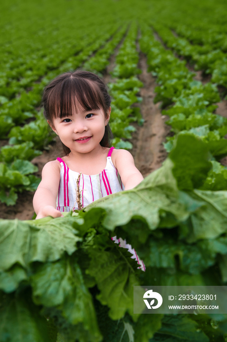 东方儿童采摘蔬菜
