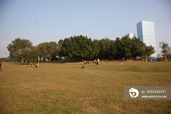 广东省深圳莲花山公园