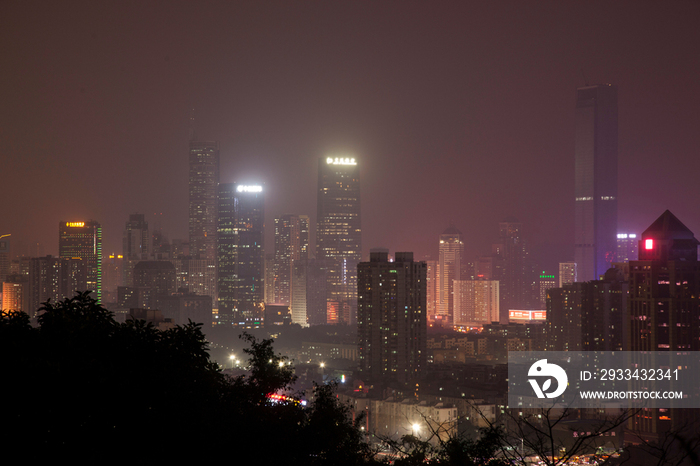 广东省深圳莲花山夜景