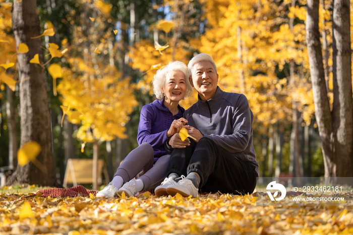 户外老年夫妇坐在落叶上