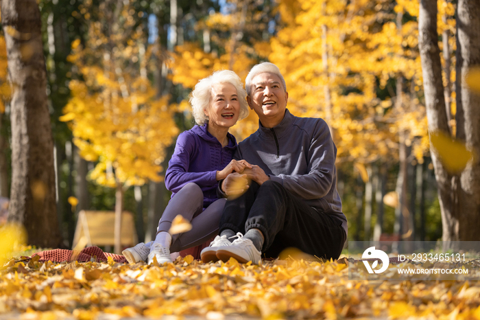 户外老年夫妇坐在落叶上