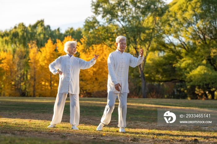 老年夫妇正在练太极拳