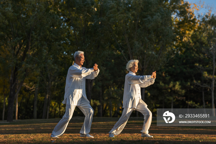 老年夫妇正在练太极拳