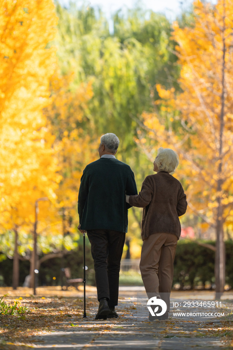 老年夫妇在户外散步的背影