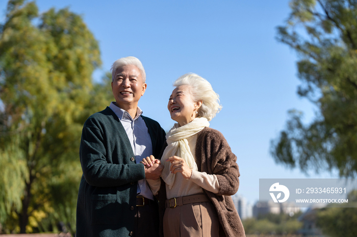 幸福的老年夫妇