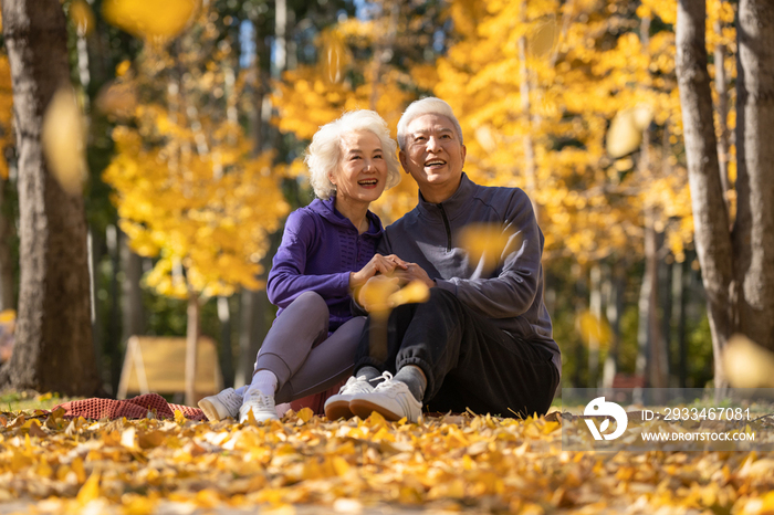 户外老年夫妇坐在落叶上