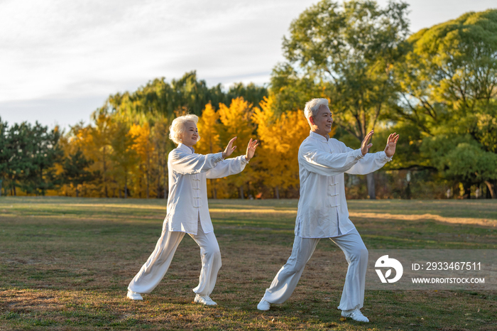 老年夫妇正在练太极拳