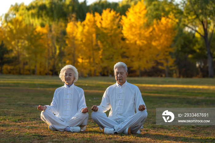 坐在草地上打坐的老年夫妇