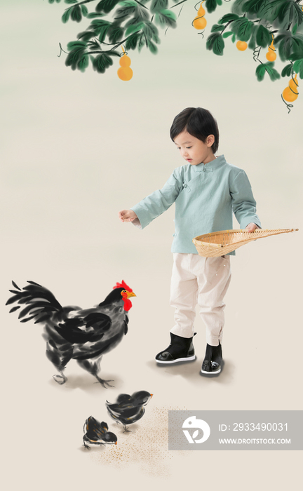 小男孩拿着簸箕撒谷物喂鸡