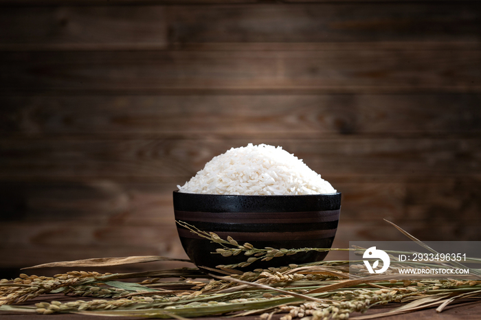 一碗米饭和水稻