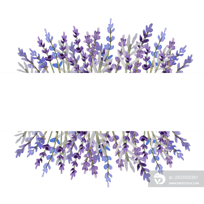 Watercolor lavender illustration for banner and poscard. Botanical elegant framefor invitation in provence style