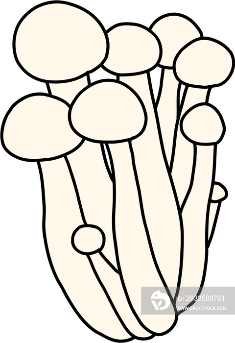 doodle freehand sketch drawing of beech mushroom vegetable.