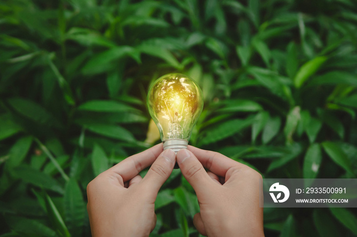 Hand holding light bulb against nature on green leaf for renewable, sustainable development. Ecology concept. Renewable Energy.Environmental protection, renewable, sustainable energy sources.