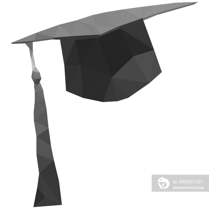 Polygon graduation hat