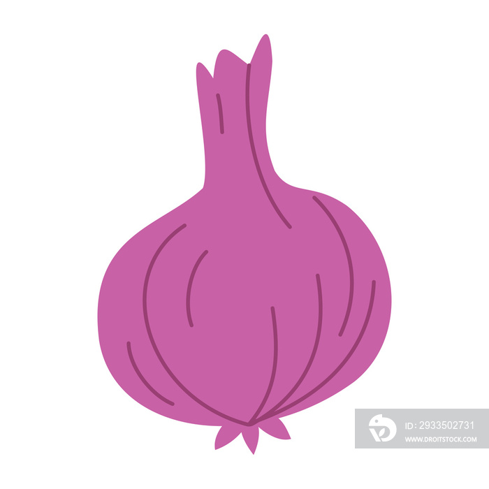 red onion isolated