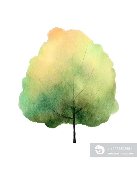 Watercolor tree