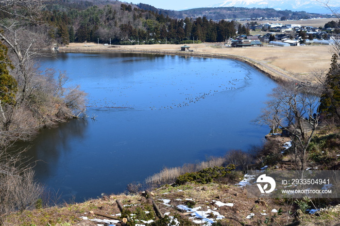 ラムサール条約登録地 大山上池・大山下池 ／ 山形県鶴岡市大山にある灌漑用のため池です。国指定の鳥獣保護区と特別保護地区に指定され、さらに国際的に重要な湿地を保全する「ラムサール条約」にも登録されました。また、2010年には農林水産省の「ため池百選」にも選定されています。