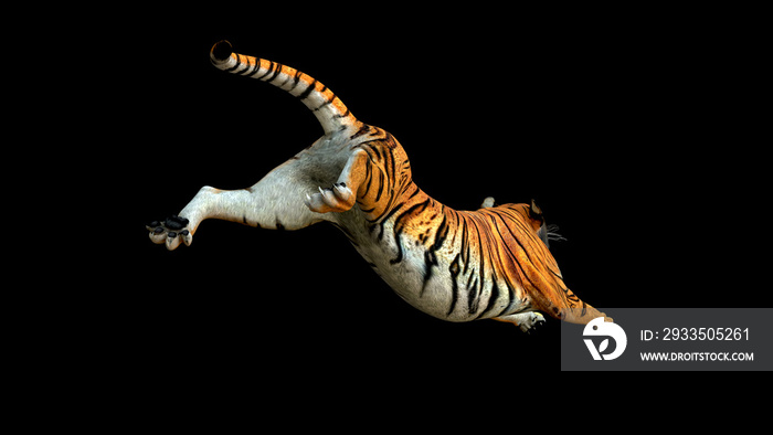 Tiger jump and leaping attack  realistic back view 3d rendering include alpha path.