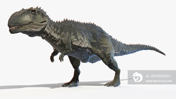 3d rendered illustration of a Giganotosaurus