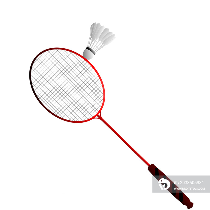 badminton racket and shuttlecock illustration