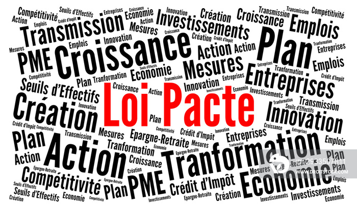 Loi pacte nuage de mots