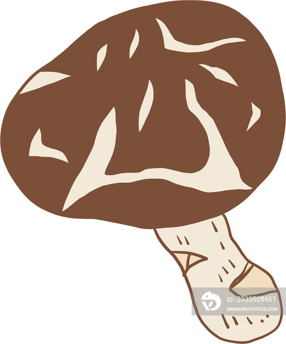 doodle freehand sketch drawing of shitake mushroom vegetable.