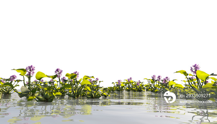 landscape of variety of water plants on water surface