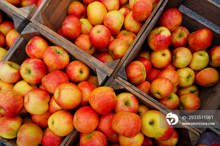 Organic apples in crates at a farmers market