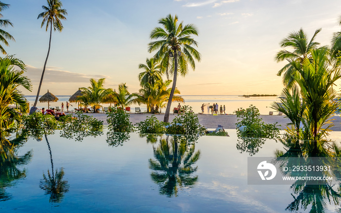 Palms over an infinity pool on the beach, French Polynesia