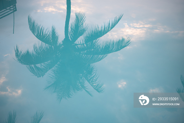 Palm image in water. Palm tree and sky reflected in pool. Tropical resort. Summer vacation