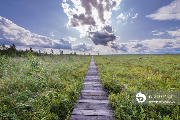 Wooden tourist walkway called Dluga Luka on a Lawki swamps in Biebrza National Park, Podlasie region of Poland