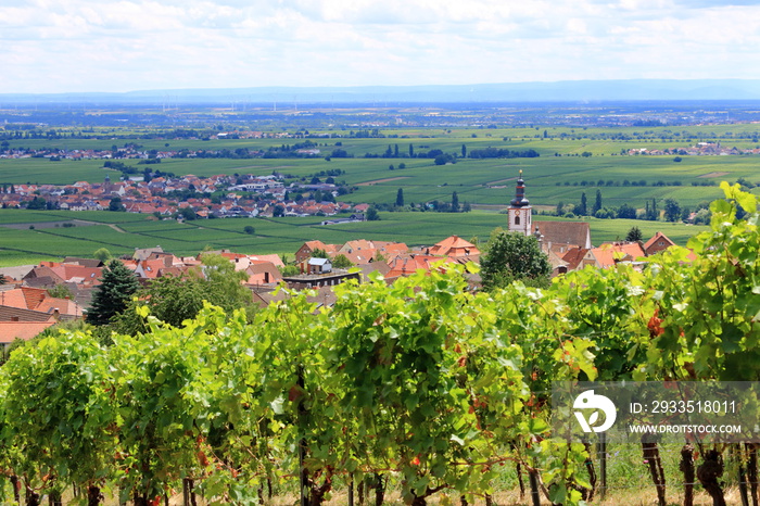 View from the vineyards around the villages rhodt unter rietburg, Hainfeld, Burrweiler, Weyher, Edenkoben, Edesheim on the german wine route in the palatinate