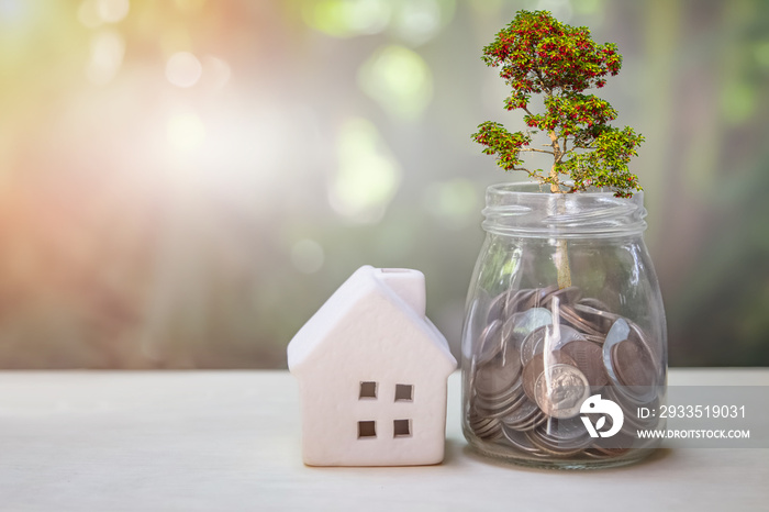 Property or real estate investment. Home mortgage loan rate. Reflection of tree plant growing out of coins in glass jar and house model on table.