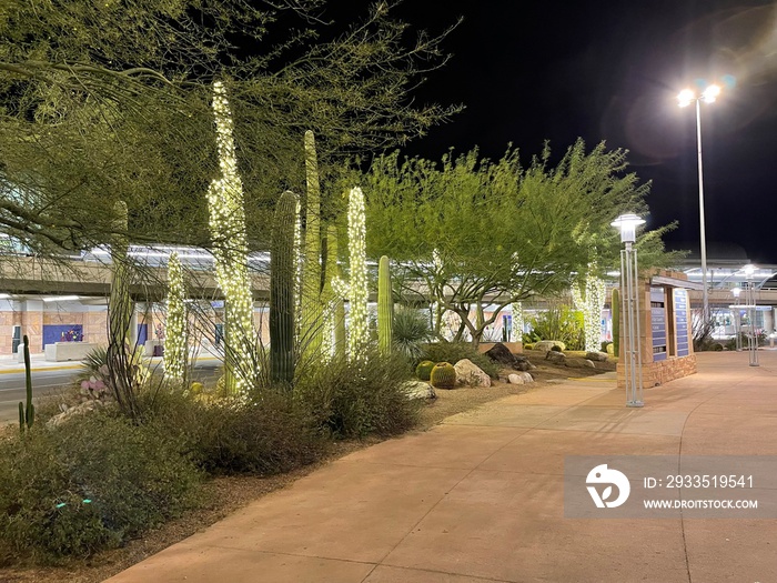 Illuminated cacti at Tucson International Airport