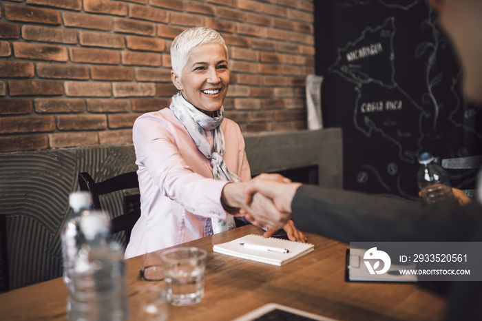 Beautiful senior woman conducting a job interview,