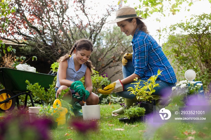 Mother giving seedling to daughter while gardening