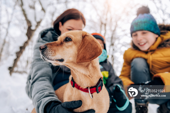 Dog enjoying outdoor on snow with his owners