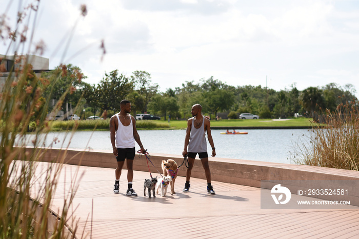 USA, Louisiana, Gay couple walking on boardwalk with dogs